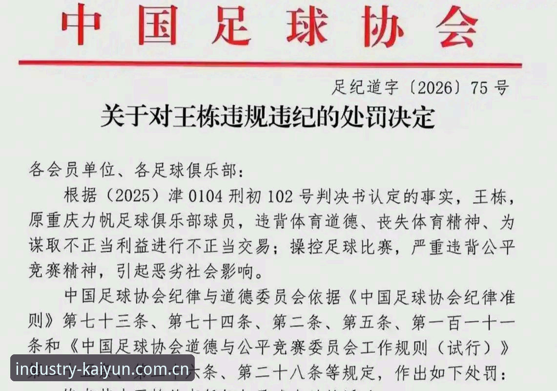 开云怎么样 足协公布第三批禁足名单,65名从业者受罚详解