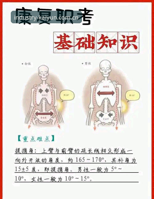 开云行业标杆 梅里诺伤愈复出备战欧冠决赛的实用必备知识:从康复到大赛的完整指南